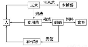 解析生態農業示意圖 哪個說法不正確？